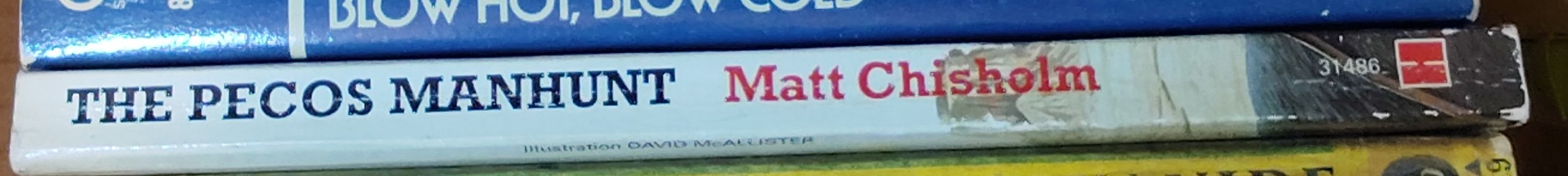 Matt Chisholm  BLADE: THE PECOS MANHUNT spine of book image