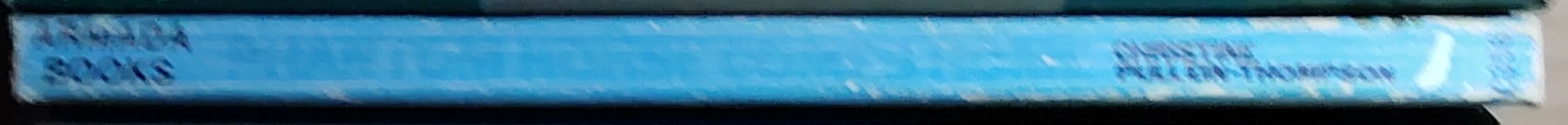 Christine Pullein-Thompson  PHANTOM HORSE COMES HOME spine of book image