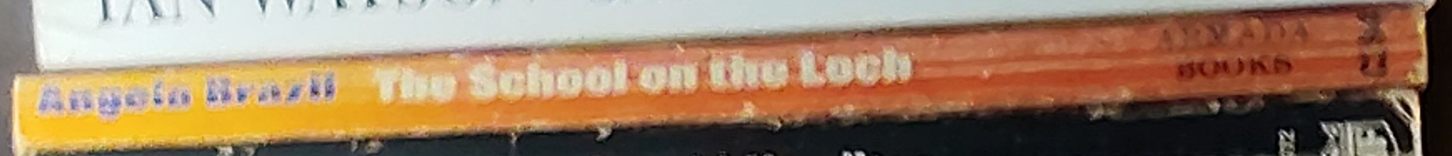 Angela Brazil  THE SCHOOL ON THE LOCH spine of book image