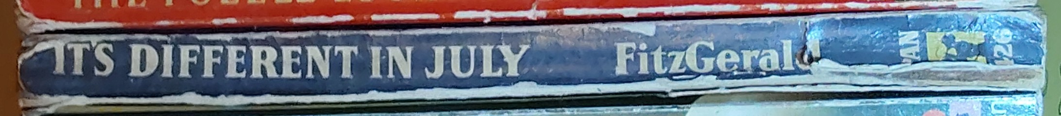 Kevin FitzGerald  IT'S DIFFERENT IN JULY spine of book image