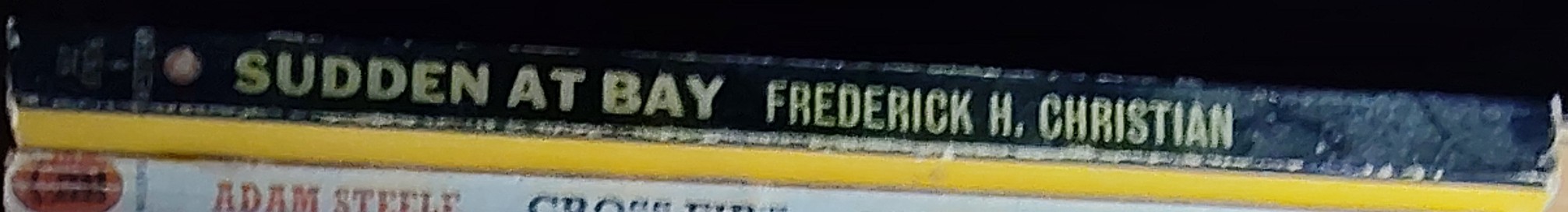 Frederick H. Christian  SUDDEN AT BAY spine of book image