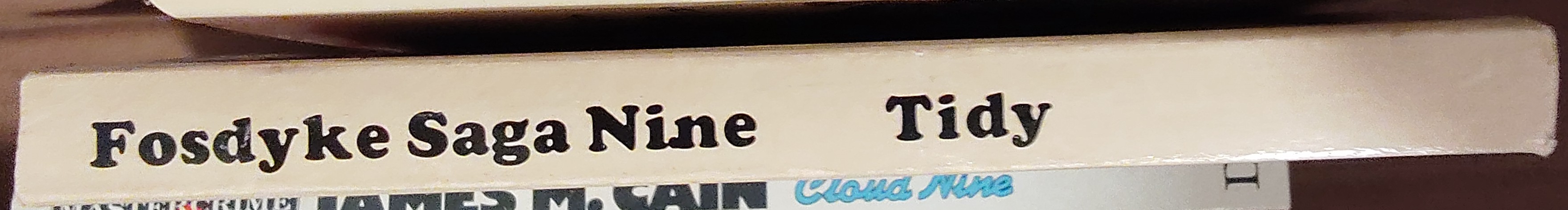 Bill Tidy  FOSDYKE SAGA. Book Nine (9) spine of book image