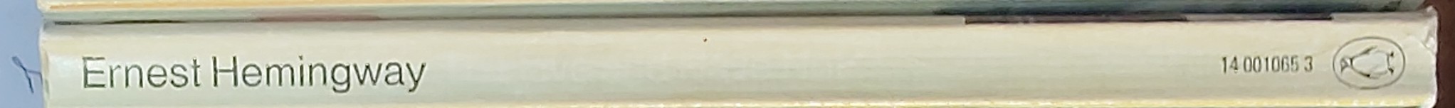 Ernest Hemingway  TO HAVE AND HAVE NOT spine of book image