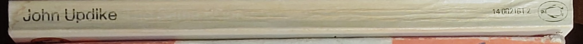 John Updike  THE SAME DOOR spine of book image