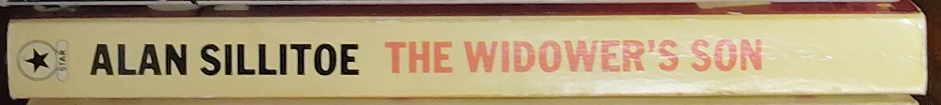 Alan Sillitoe  THE WIDOWER'S SON spine of book image