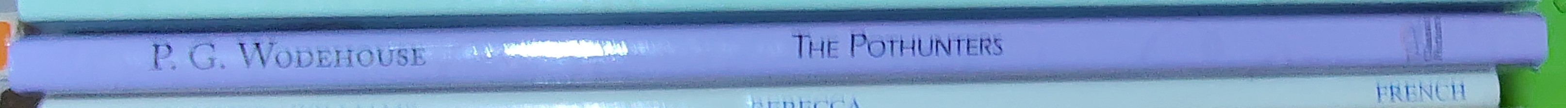 P.G. Wodehouse  THE POTHUNTERS spine of book image