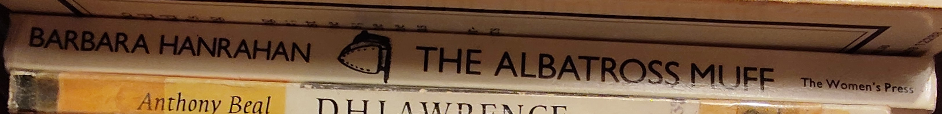 Barbara Hanrahan  THE ALBATROSS MUFF spine of book image