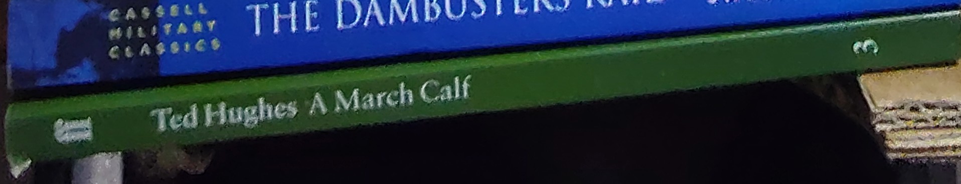Ted Hughes  A MARCH CALF spine of book image
