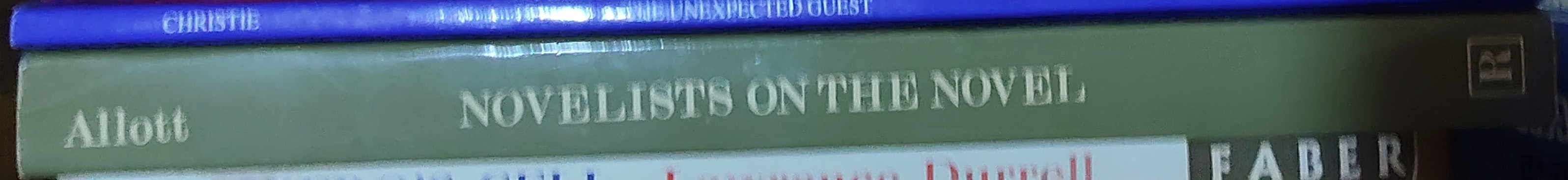 Miriam Allott  NOVELISTS ON THE NOVEL spine of book image