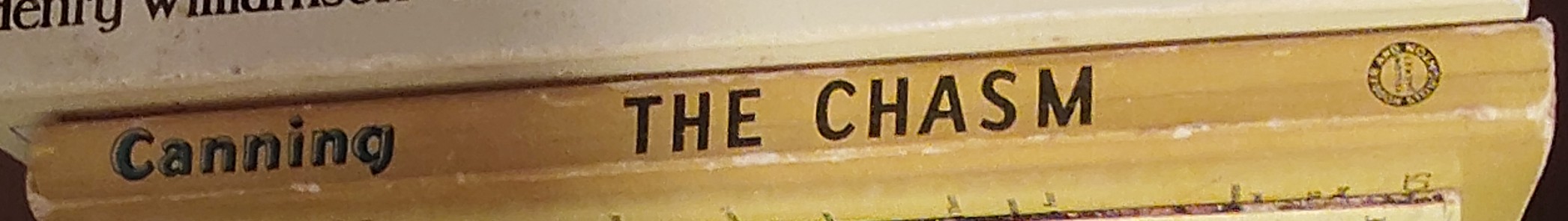 Victor Canning  THE CHASM spine of book image