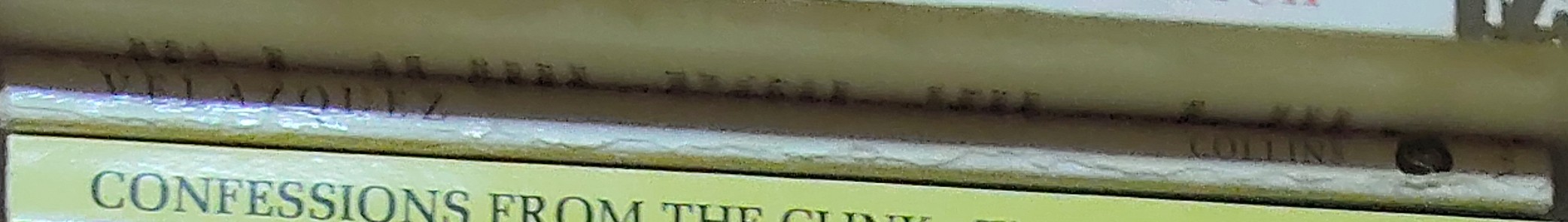 VELAZQUEZ  spine of book image