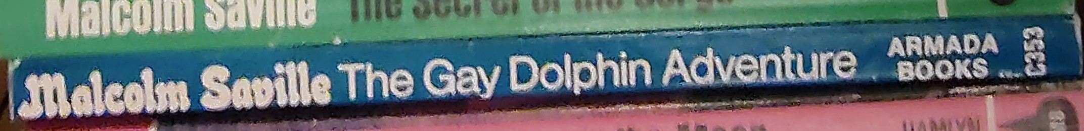 Malcolm Saville  THE GAY DOLPHIN ADVENTURE spine of book image