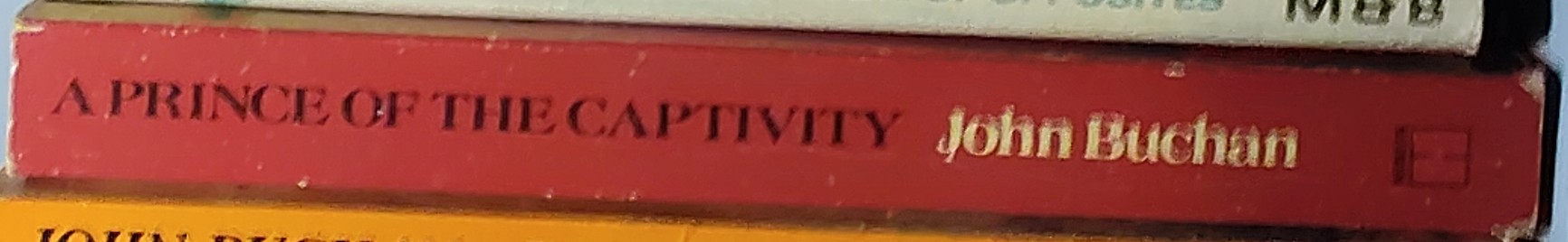 John Buchan  A PRINCE OF THE CAPTIVITY spine of book image