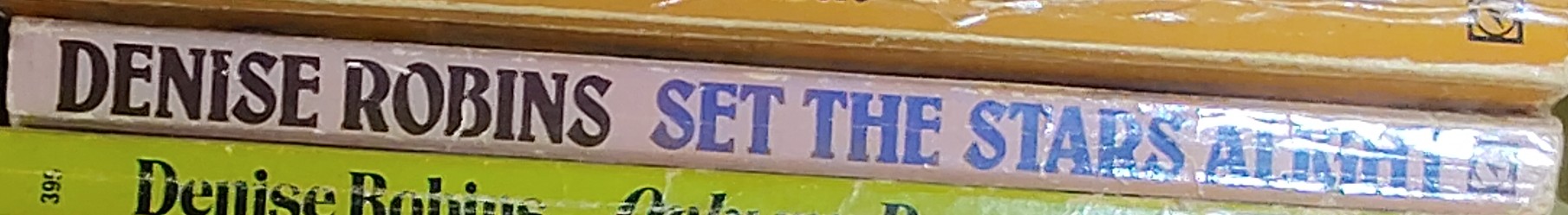 Denise Robins  SET THE STARS ALIGHT spine of book image